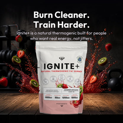 Ignite+
