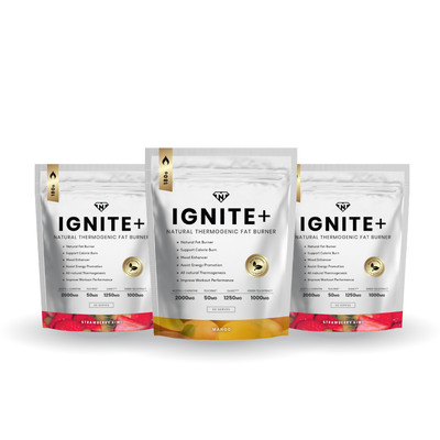 Protein Supplements - TNT Gym & Body Building Supplements Online – The ...